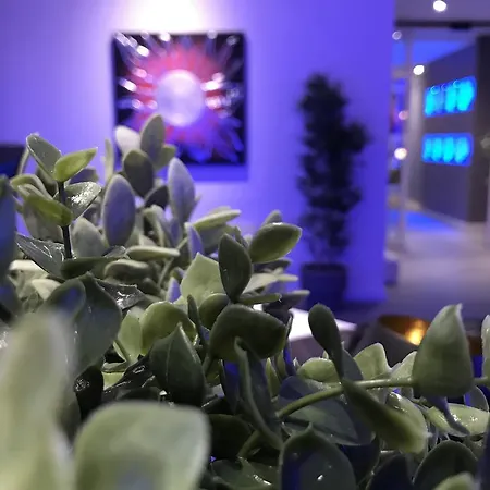 Hotel Novahotel 3*