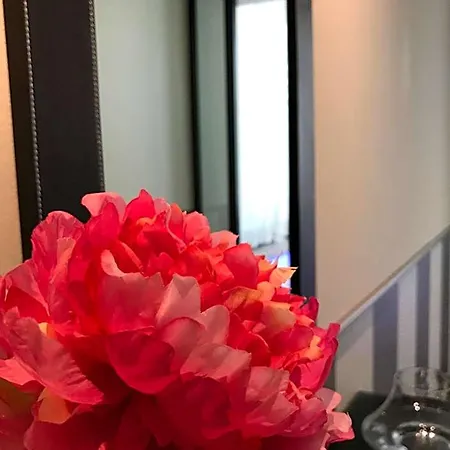 Novahotel ホテル