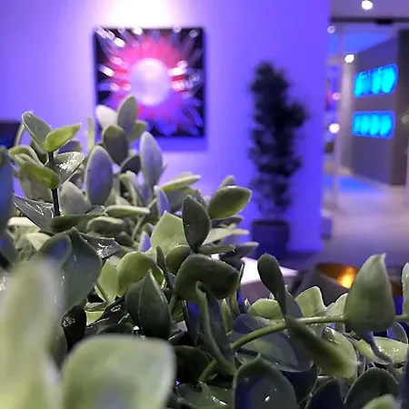 Novahotel 3*