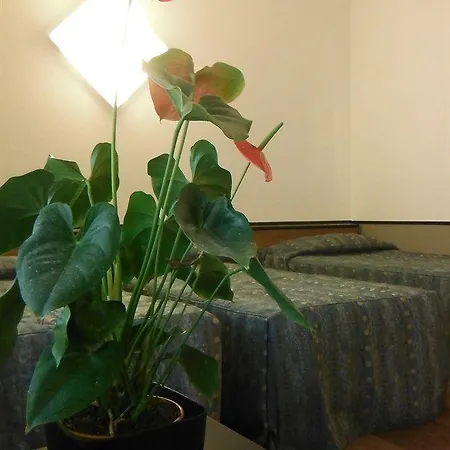 Отель Novahotel