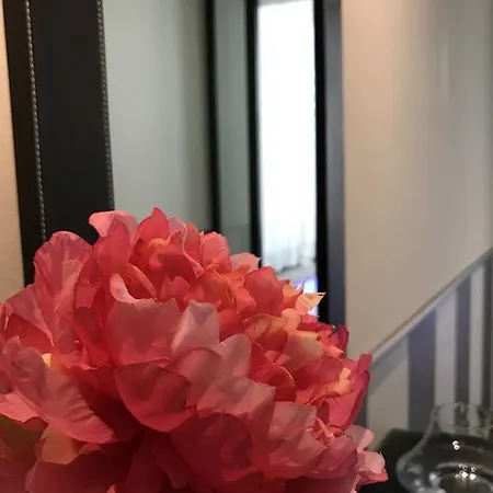 Novahotel 3* 레조넬에밀리아