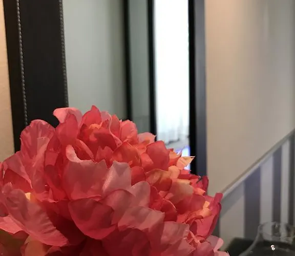 Novahotel 3* Reggio Emilia